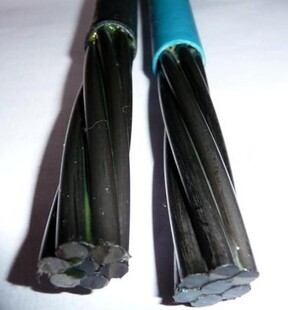 ���䓽g��15.2�A����䓽g��