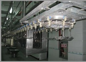 狗屠宰设备,马宰杀设备,宰驴子机械设备,杀鸵鸟机械设备