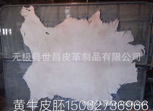 �Sţ�^��������Ƥ�� �Sţ�^���{��Ƥ