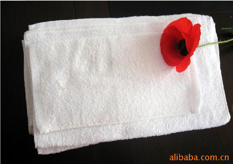 1725145321_1831365881