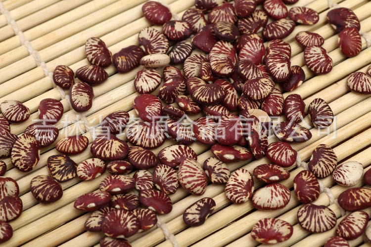 Low Temperature Roasted Cooked Kidney Beans Wholesale Five Grain Soy Milk Ingredient specifications