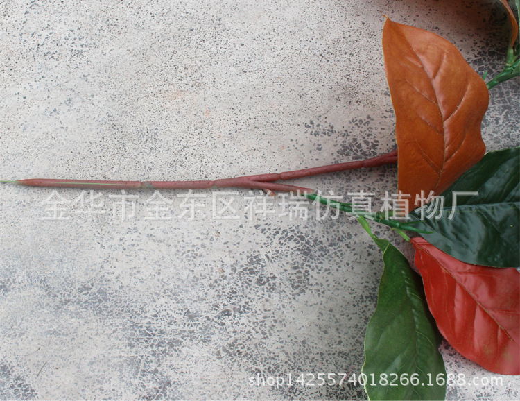 XRB-103秋高榕叶3叉枝14叶58CM枝干