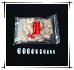 2307422179_33696745_副本