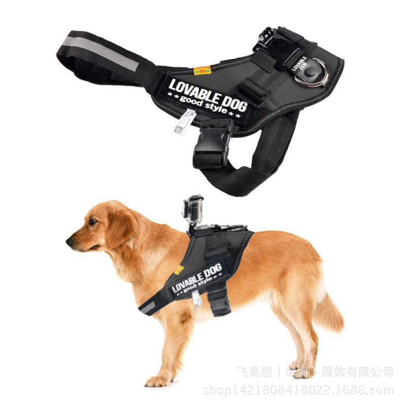 dog mount 3 - 副本