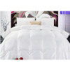 Manufactor Direct selling Cotton Eiderdowns hotel Down quilt hotel Linen Down quilt wholesale Machinable