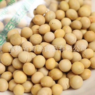 �Fĥ����B�����{ ���{ԭ�ϰ� �͜غ決����s�Z �S�����{