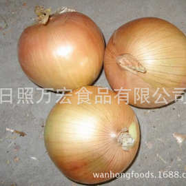出口欧美国家的黄皮洋葱，洋葱