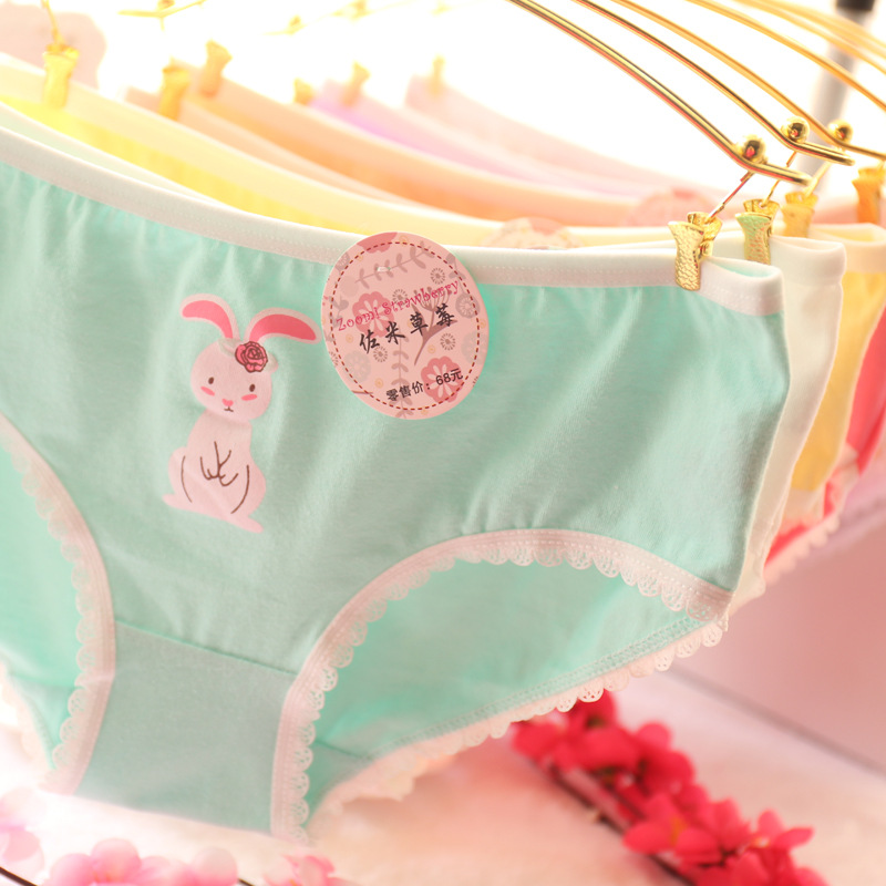 Slip jeune A019 en coton - Ref 647876 Image 9