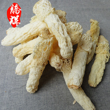 云贵州红托竹荪批发 食用菌  煲汤食材 产地直销 量大从优