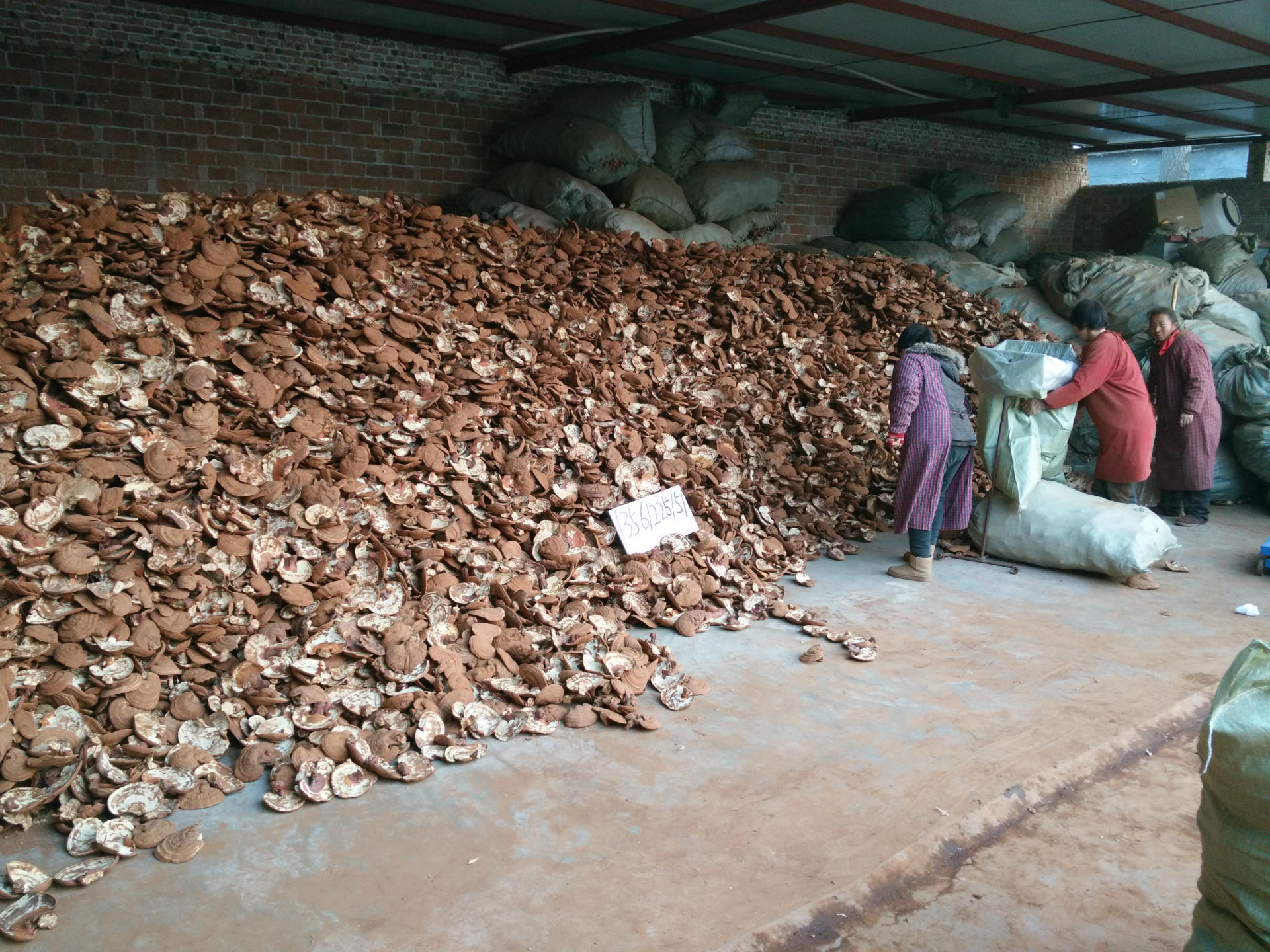 IMG_20150109_165233(1)