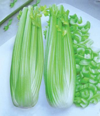 国家备案出口基地 调味速冻西芹丁，IQF CELERY|ru