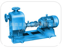 生产供应不锈钢自吸泵ZX100-100-15P