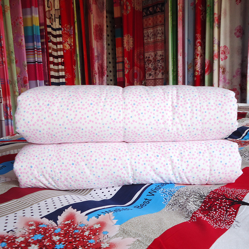 Manufactor goods in stock supply high quality thickening keep warm Winter quilt Cloth Single student dormitory quilt with cotton wadding Special custom