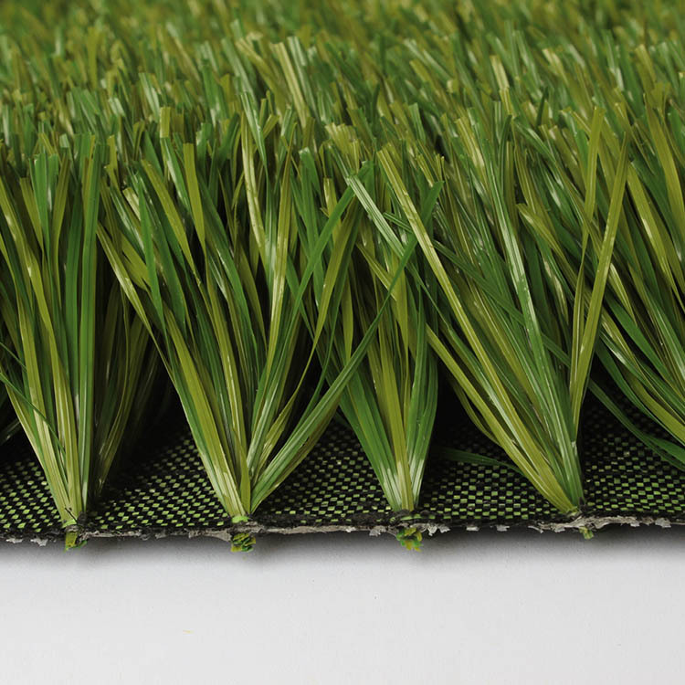 505817 翠橄雙色足球草 36元