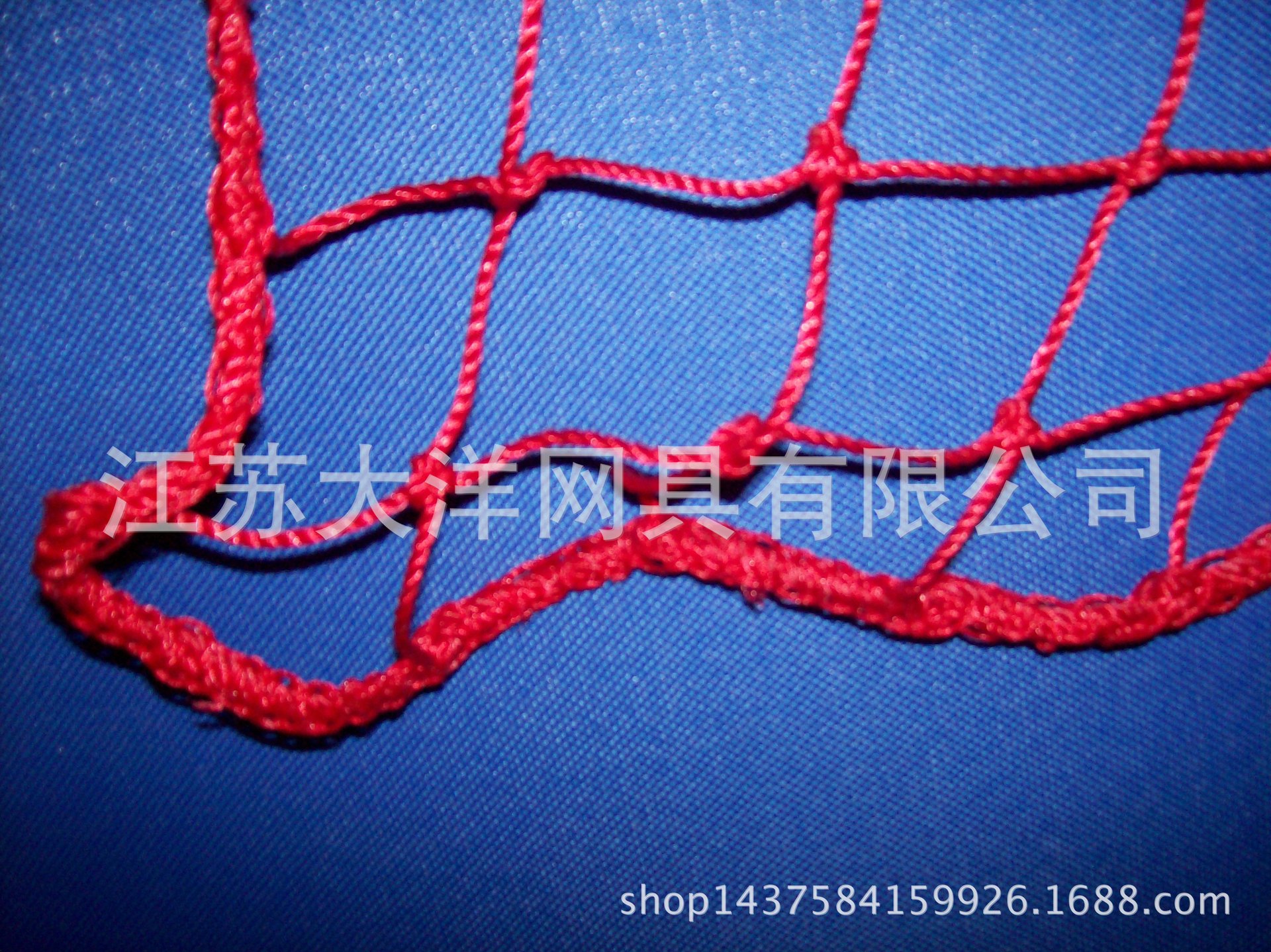 聚乙烯合股线渔网 体育用品网  农业用网 大洋网具厂家生产