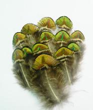 T2KyEqXr0aXXXXXXXX-838768551