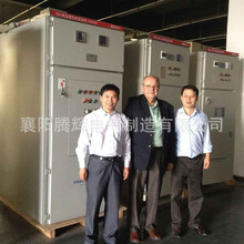 腾辉电气高压固态软起动柜 供应各系列各负载的软起动柜生产厂家