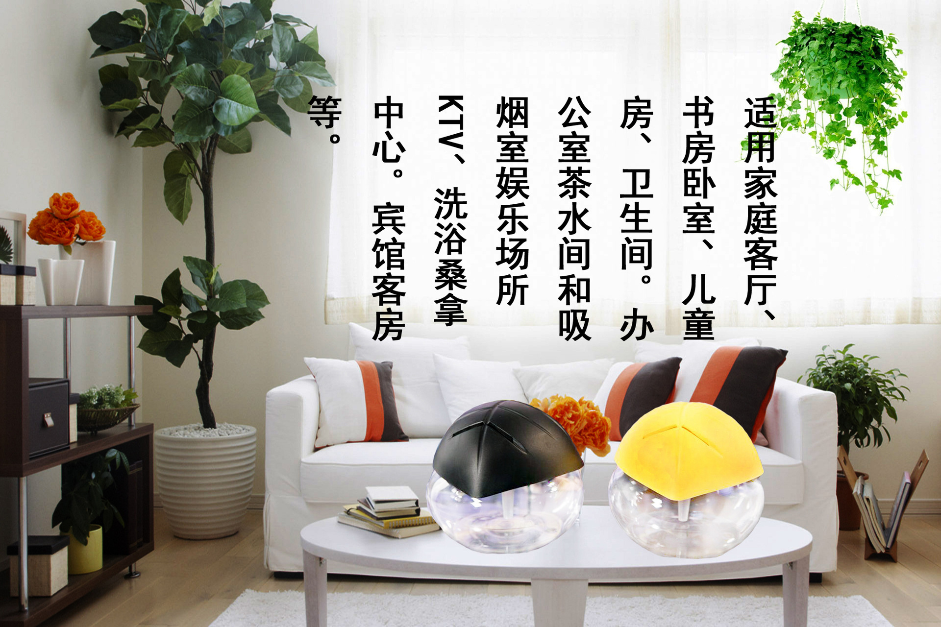 TB2KbLXdpXXXXbWXpXXXXXXXXXX-15