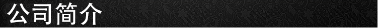 公司簡介