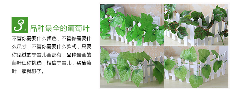 750葡萄葉_45