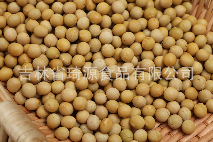 Roasted Soybeans Northeast China Specialty Ready to Eat Soybean Snack Bulk Wholesale key features