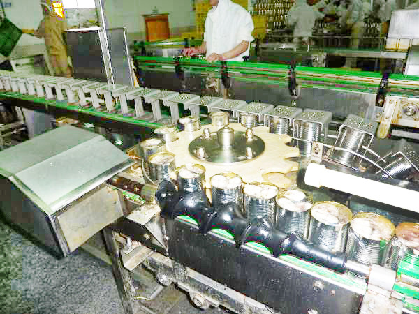 青鱼罐头生产线,青鱼罐头生产设备,青鱼加工生产线设备