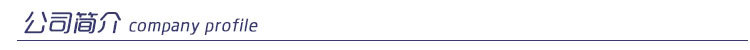 公司簡介