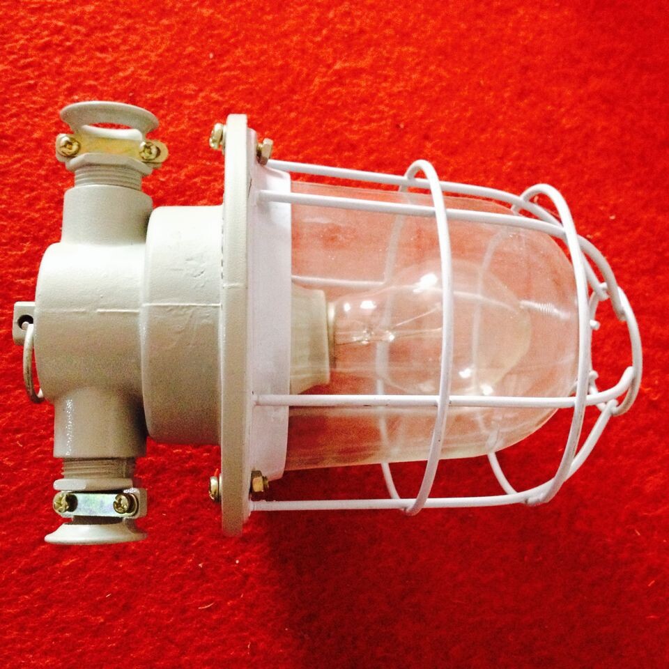 DGS13-127Y 隔爆型节能灯巷道灯 矿用防爆节能灯 LED巷道灯
