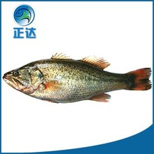 ���_�������B���|�~�~���N��Ϳ��x��S�����l�V�|ֱ����ˮ