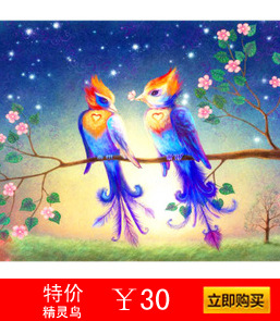 精灵鸟