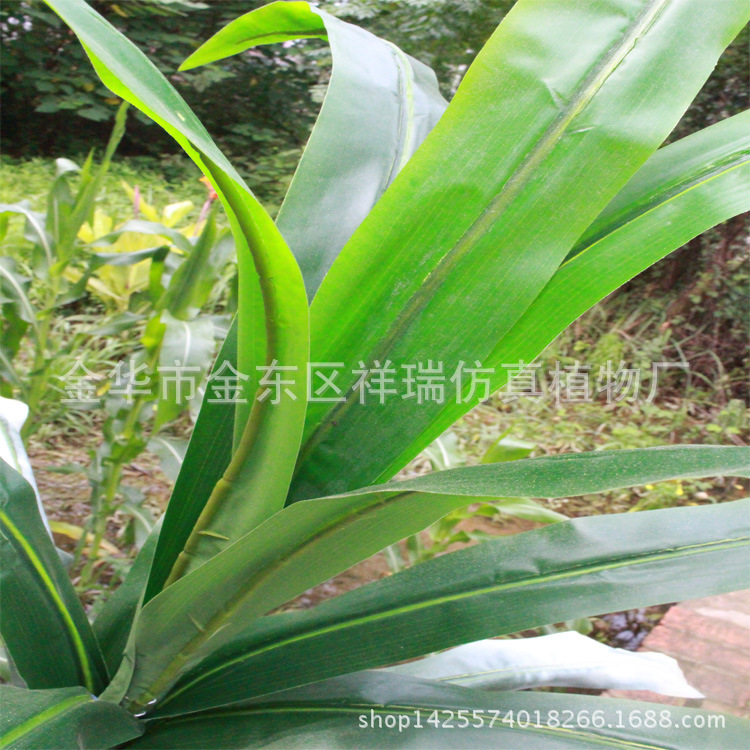 XRB-090单杆甘蔗叶15叶230厘米叶子