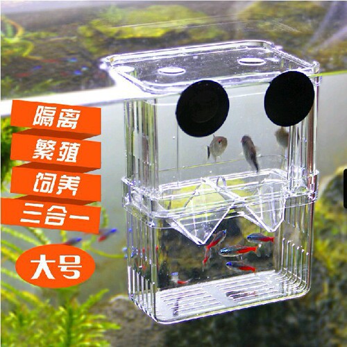Guppy hatching box double-layer self-floating incubator juvenile fish breeding acrylic isolation box fighting fish box wholesale