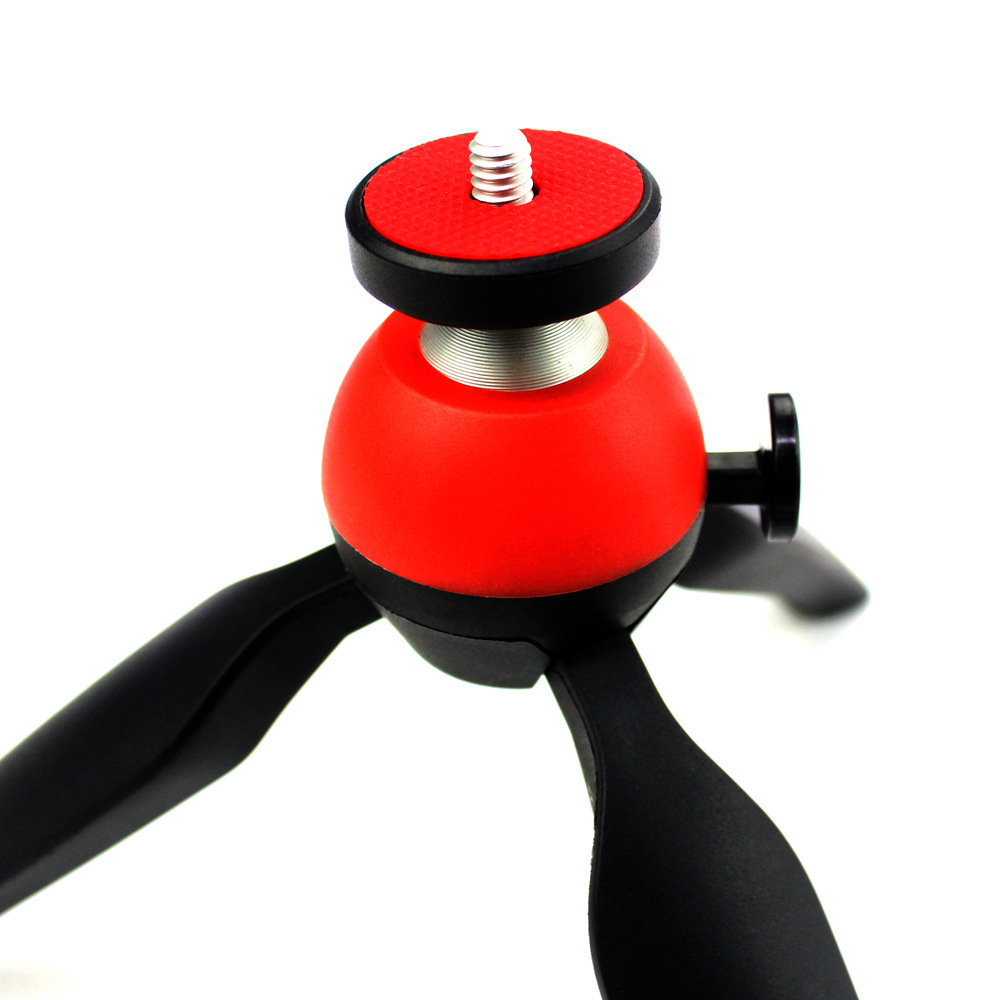 2498245833_2108336670