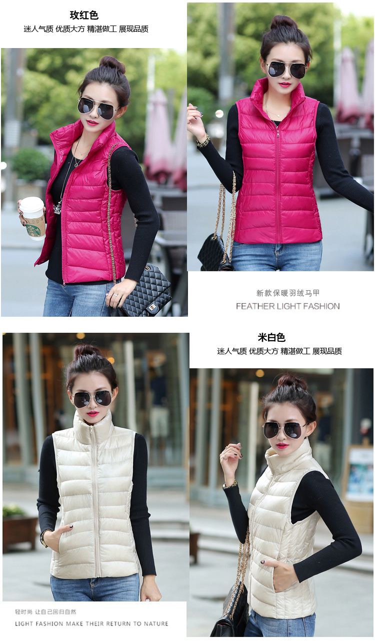 TB29jBJdVXXXXa1XXXXXXXXXXXX_!!