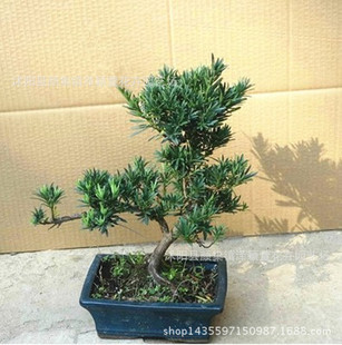 ���l�_�h���辰 �҃����ԾGֲ �����՚� ����ă�