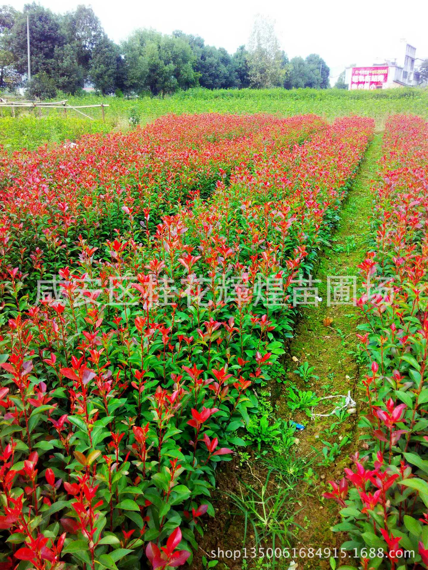 IMG_20151009_151441_HDR