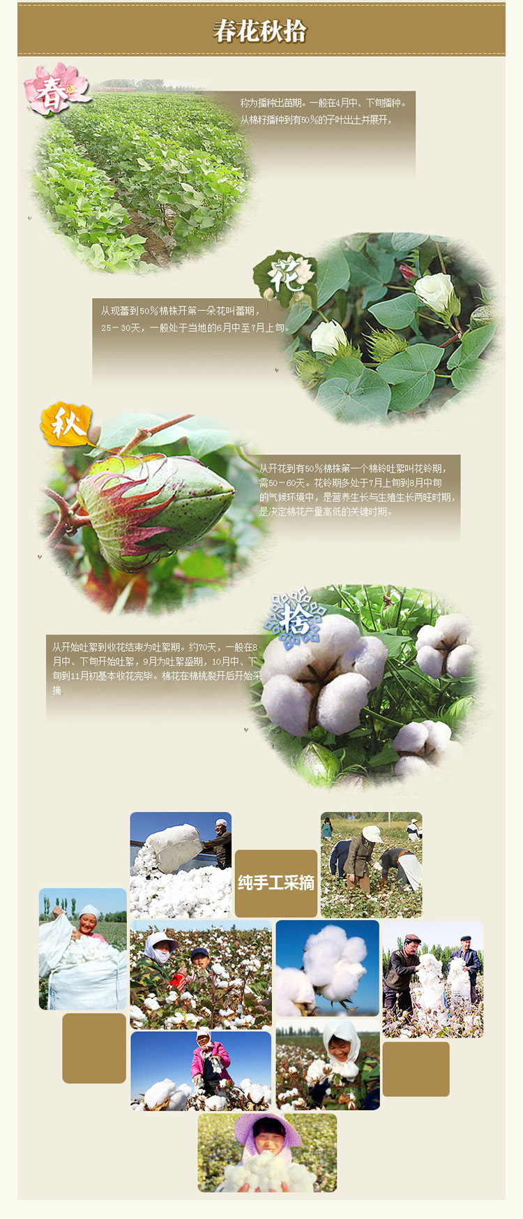 TB2gOlGcFXXXXcEXpXXXXXXXXXX-26