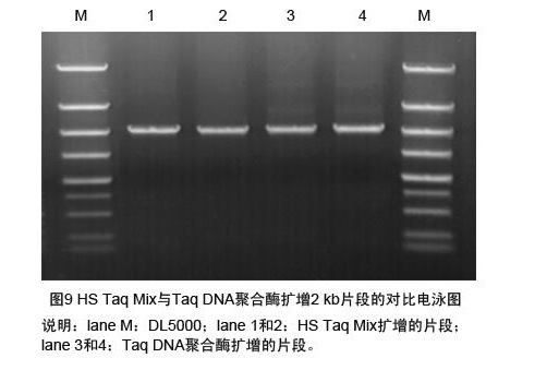 HS Mix  1ML实验试剂高纯度