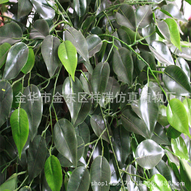 XRS-084发财杆三层榕树叶180厘米2142叶子