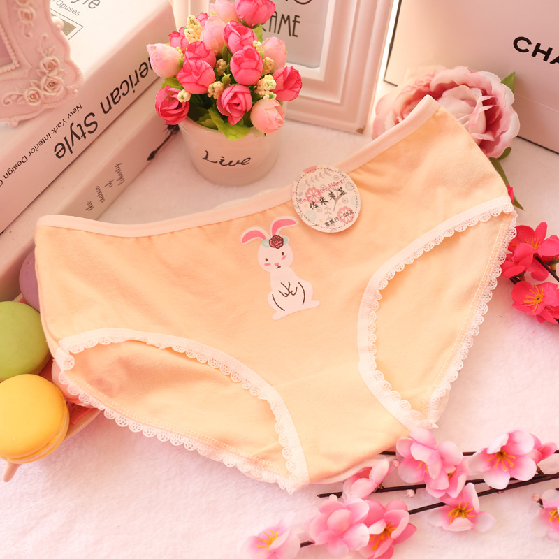 Slip jeune A019 en coton - Ref 647876 Image 13