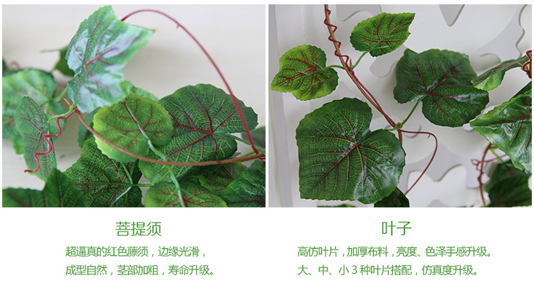 750葡萄葉_14