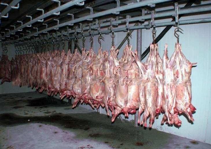 羊屠宰设备,猪牛羊定点屠宰设备山羊肉羊屠宰设备