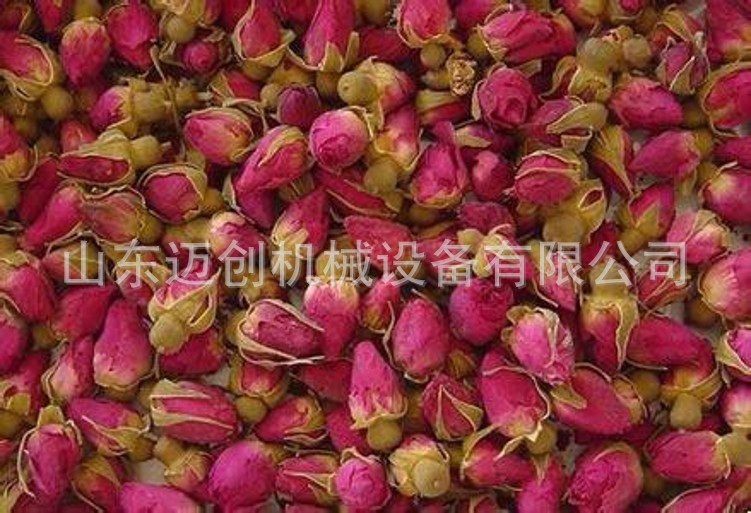 u=2692840678,1754374908&fm=11&