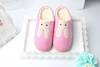 Winter slippers, cartoon hairpins for beloved, shoe bag for pregnant, Korean style, wholesale