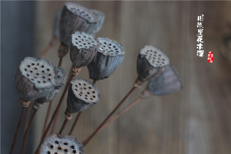 TB2NPc0aVXXXXXyXXXXXXXXXXXX_!!