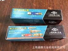  HF-P2 Ȳػֹ pػb ϺߏS