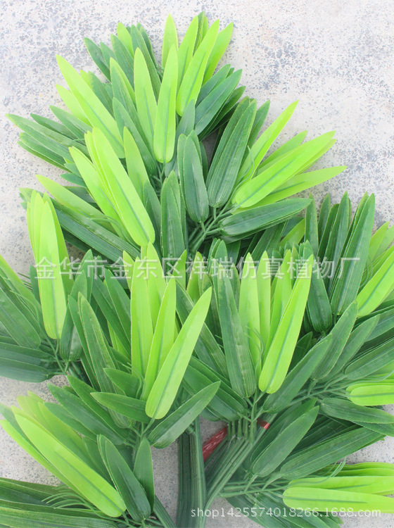 XRB-111富贵竹叶3叉枝52叶62厘米叶