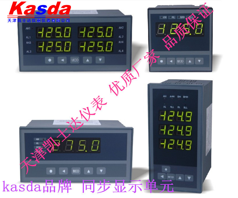 数据显示单元XSDU，单排，双排，多排显示，XSDU显示仪厂家