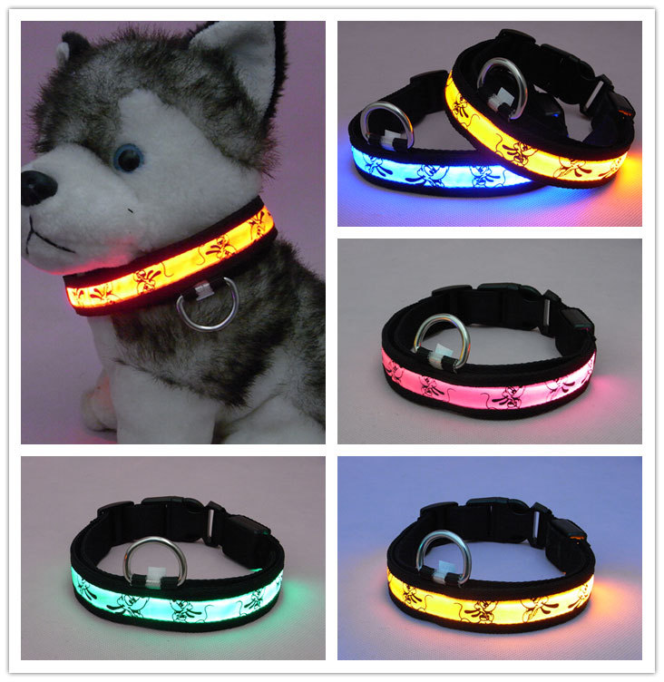 Various Colors of Glow Dog Collars