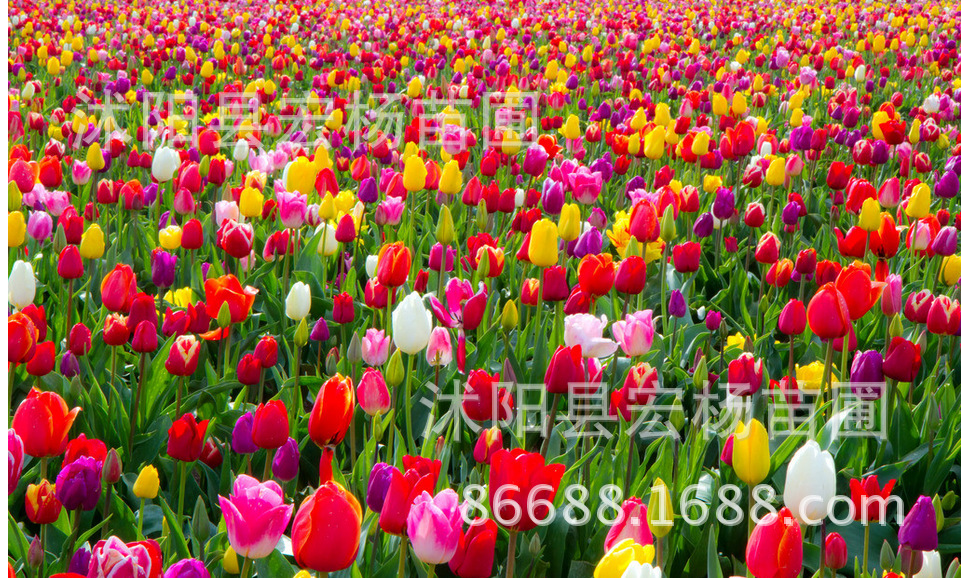 QQ图片20151008161401